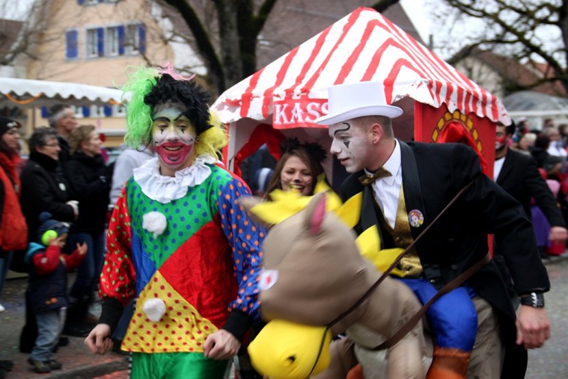 Sarmenstorf Fasnachtsumzug 16.02.2014 (85)